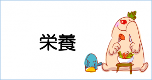 栄養