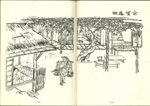 名勝図絵藤棚