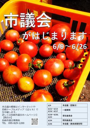 R7.6定例会ポスター