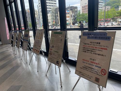 展示の様子
