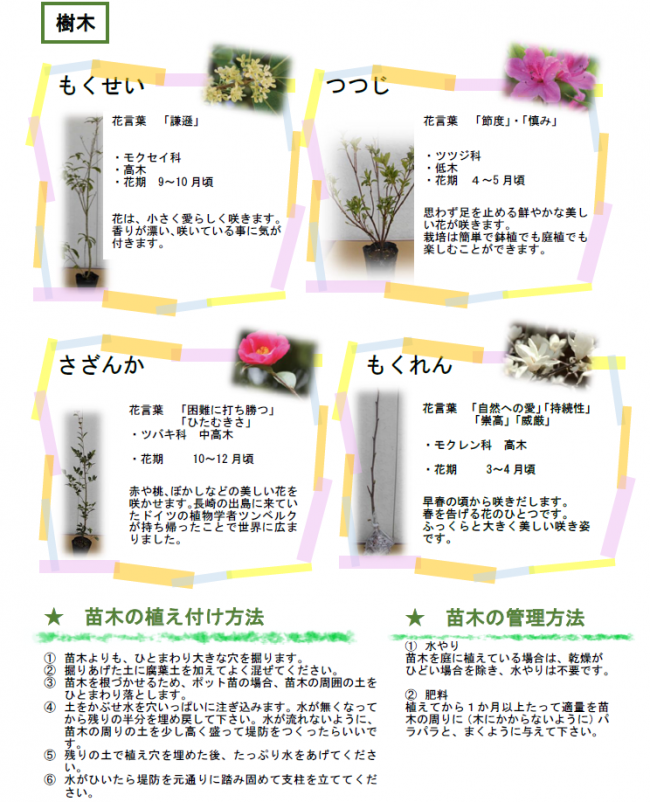 樹木の育て方
