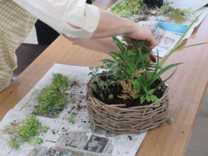 編んだかごに季節の草花を寄せ植え