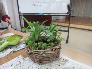 寄せ植えが完成した