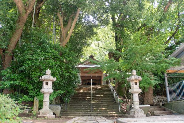 山王神社クスノキ群