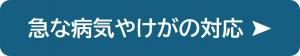 急な病気やけがの対応の紹介