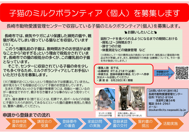 チラシ