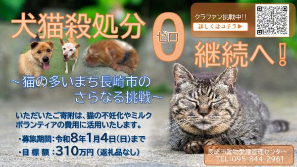 犬猫殺処分