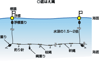 底延縄