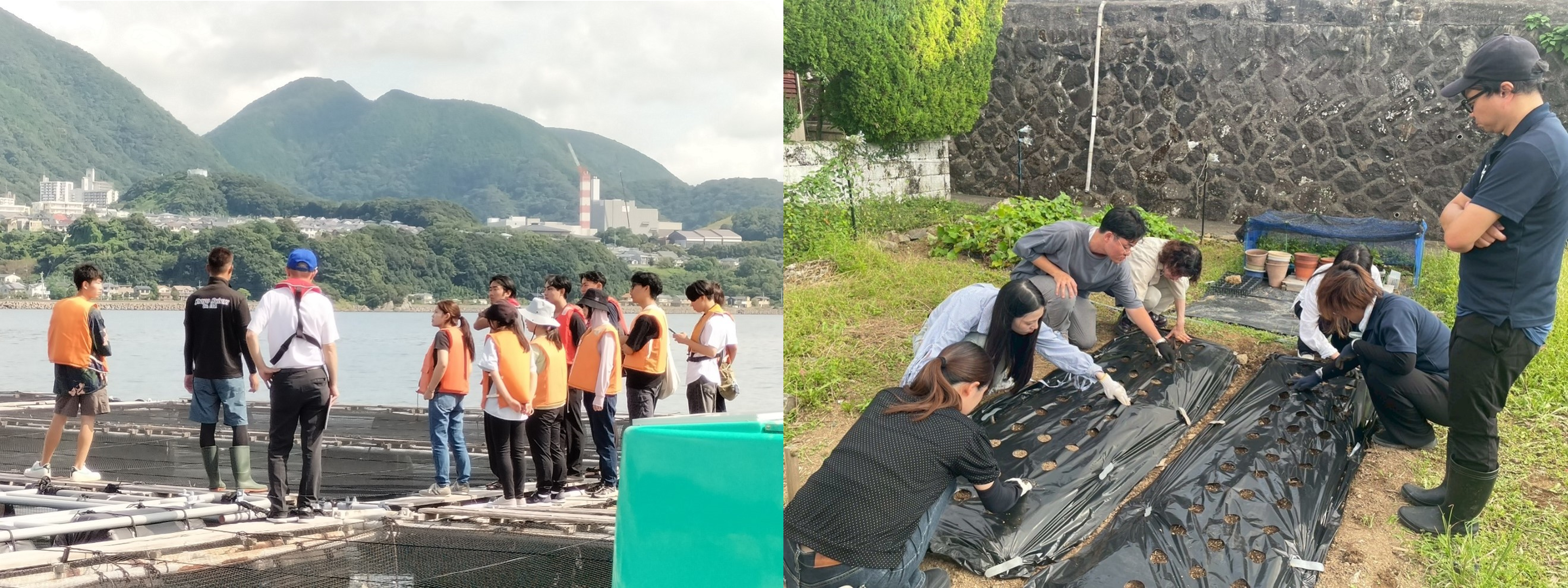 いけす見学と農作業をする学生