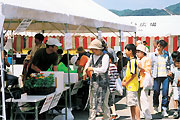地産地消の推進の画像