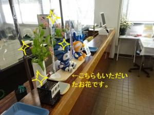 カウンターの花