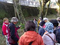 西山木場を散策