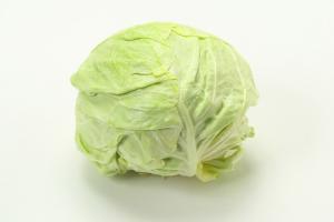 キャベツの写真
