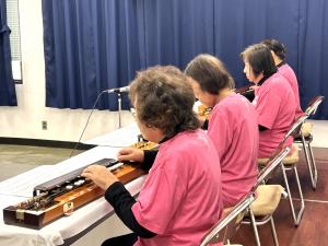 コスモス 大正琴