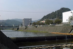 八郎川の画像