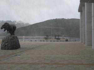 水仙の丘　2月8日 （日曜日）撮影　1.枚目