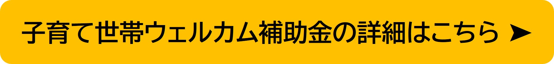 子育て世帯ウェルカム補助金の