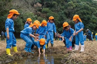 休耕田で生きものを探すこどもたち