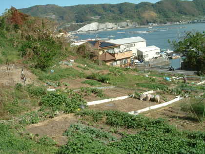 牧島写真