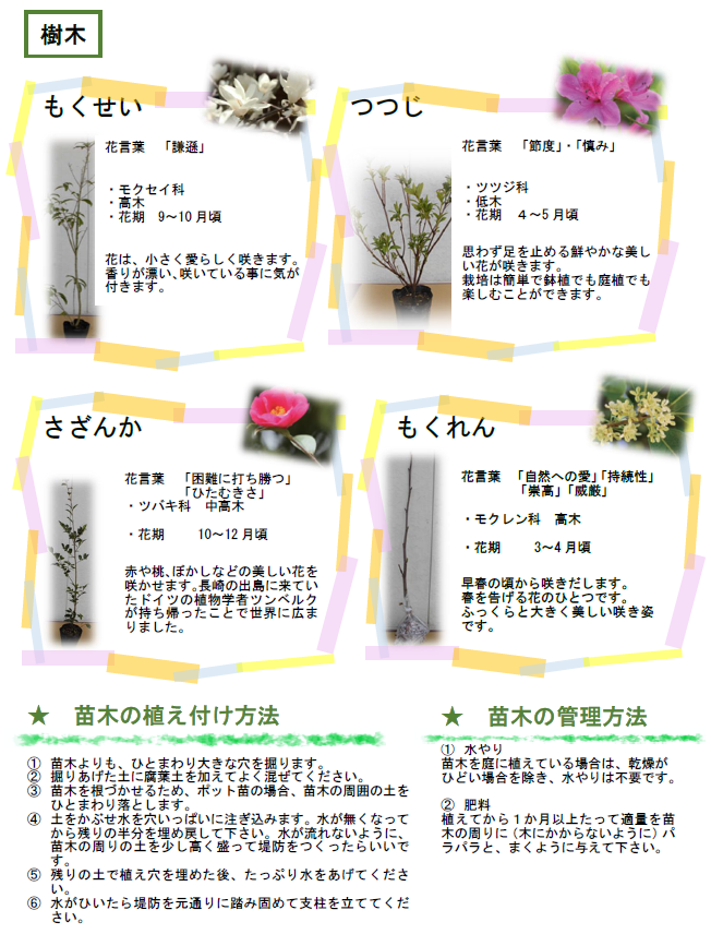 樹木