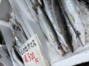 伊王島日の出カマス