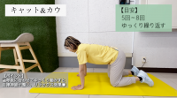 キャット＆カウ