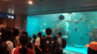 (ペンギン水族館)