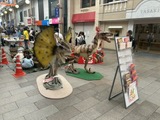 イベント実施の様子がわかる写真