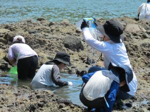 R7　海1