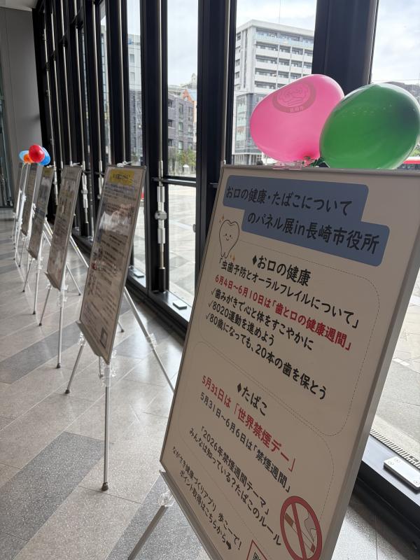 展示の様子