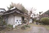 風の散歩径・林