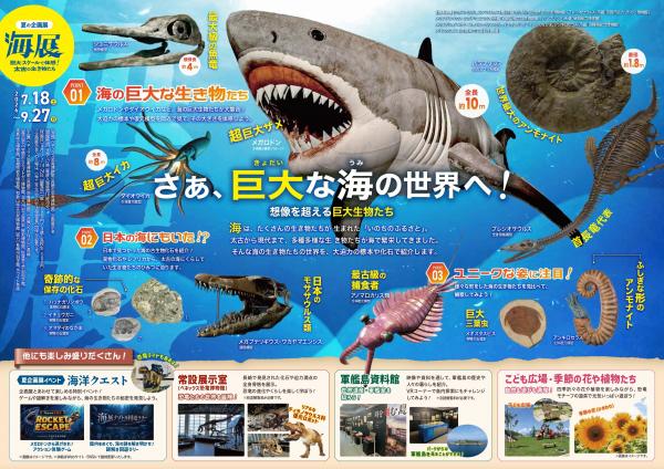 海展チラシ2026