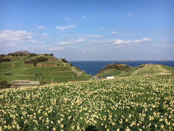 旧野母崎総合運動公園の画像1
