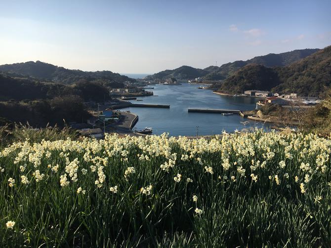旧野母崎総合運動公園の画像4
