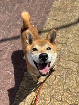 サッキー