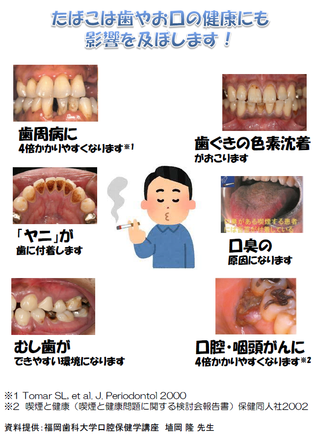 歯とお口の健康のチラシ
