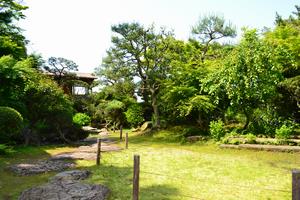 庭園（春）