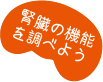 ボタン腎臓の機能を調べようのリンクボタン