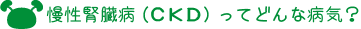 ＣＫＤってどんな病気？のロゴ