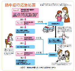応急処置フローチャート