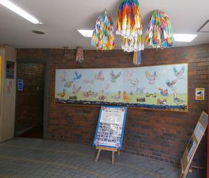 展示1