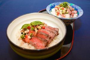 わようすてーきどん