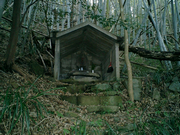 高山様の画像