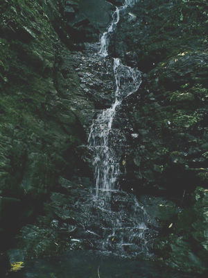 松露(路)渕水神宮の画像