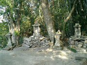 高城大権現の画像