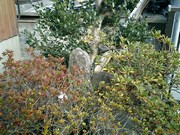 99石塚