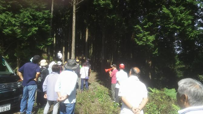 R5_小ヶ倉町山林健康ハイキング