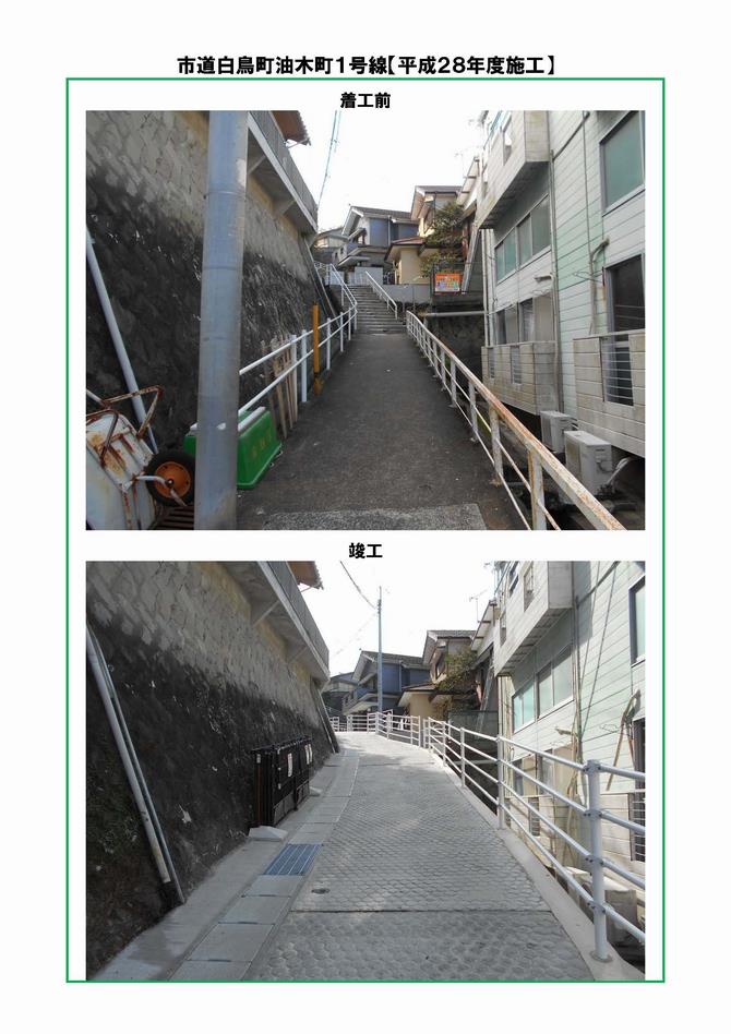 白鳥油木写真