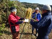 四杖町田舎地区で「おんのべー」（鬼火たき）が行われました（令和6年1月4日）の画像1