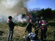 四杖町田舎地区で「おんのべー」（鬼火たき）が行われました（令和5年1月3日）の画像3